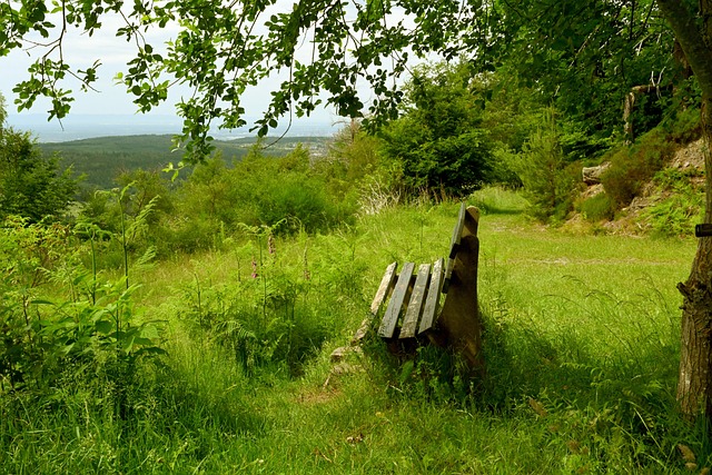 在球队需要 在球队需要