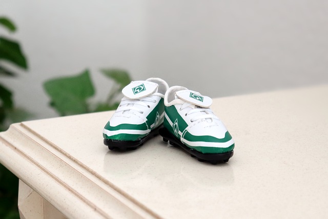 人类活动日 人类活动日